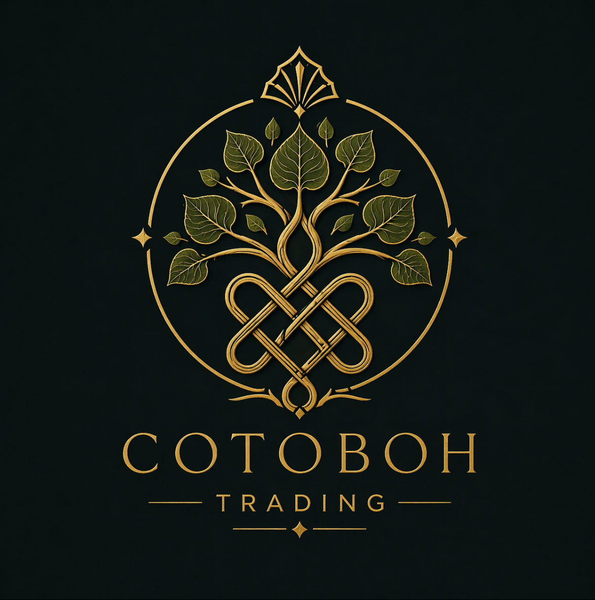 cotoboh trading